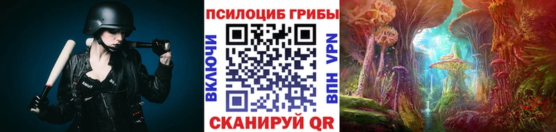 mega ссылка  Гвардейск  Псилоцибиновые грибы Cubensis 